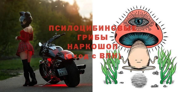 ECSTASY Аркадак