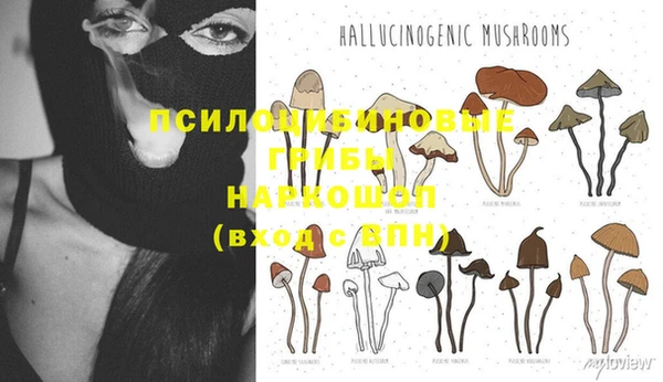 бошки Армянск